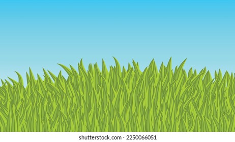 Sunny summer day on the meadow with grass with blue cloudy sky. Serene mood, bliss.