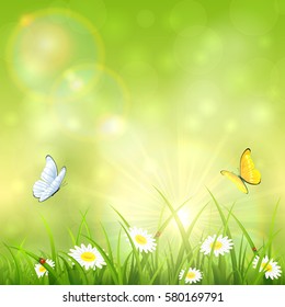 Sunny summer day, two butterflies flying above the grass with flowers and ladybugs, illustration.