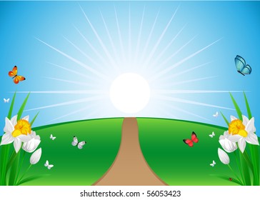 sunny summer  landscape with flowers and butterflies