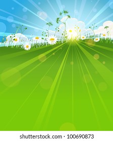 Sunny summer morning background with space for text