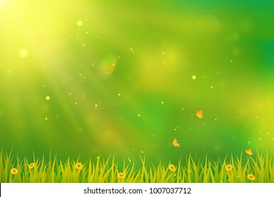 Sunny summer or spring background. Blurred abstract design with green grass, flowers, butterflies and sunlight. Vector.
