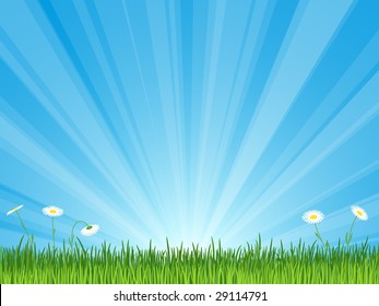 Sun-rays, Grass and Daisies