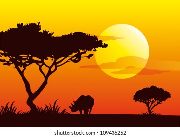 sunrise africa