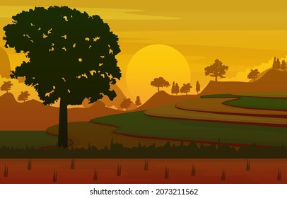 Sunrise Asian Paddy Rice Field Agriculture Nature View Illustration
