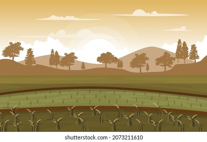 Sunrise Asian Paddy Rice Field Agriculture Nature View Illustration