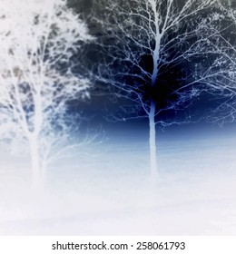Sunrise behind a leafless tree. Vector illustration