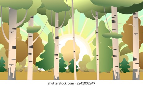 Sunrise in birch grove. Autumn landscape forest and trees. Nature view. Cartoon fun style. Flat design. Vector.