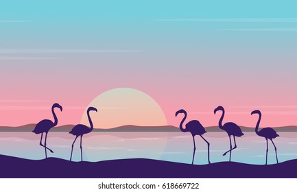 At sunrise flamingo scenery silhouettes