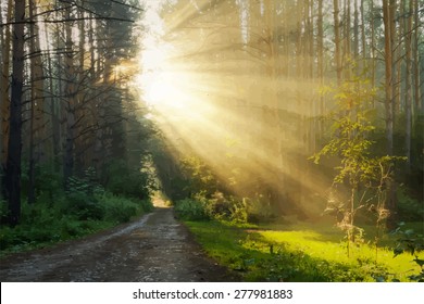 sunrise in the foggy forest, vector 