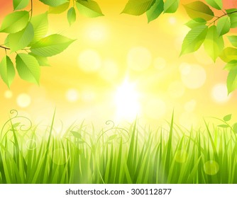 Sunrise in forest background with green tree leaves frame and sun beams in the middle vector illustration