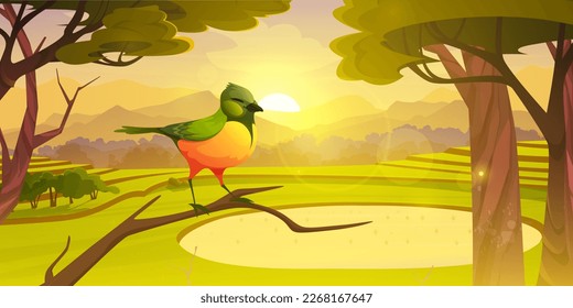 Sunrise in forest with green bird on branch vector illustration. Cartoon morning forest background with sun light and rice plantation. Sunny asian green hill landscape with mountain silhouette.