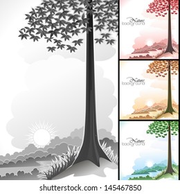 Sunrise in forest with a lonely tree 