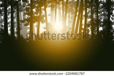 Similar – Image, Stock Photo Pine silhouette in sunrise morning misty light