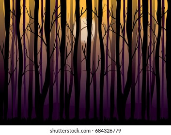 sunrise in the forest vector illustration.
sun shining through the trees silhouettes