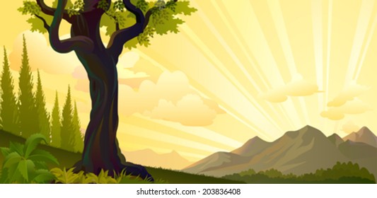 Sunrise in the hills 