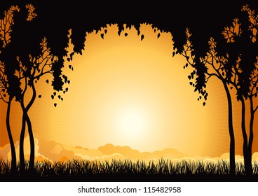 Sunrise landscape. Vector  silhouette of  many  trees  and grass at sky with sun and sunbeam.