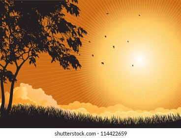 sunrise landscape. Vector  silhouette  of  maple trees  and flying birds at sky with sun and sunbeam.