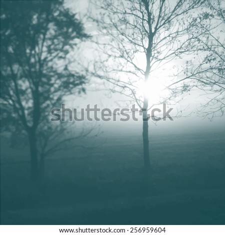 Similar – Foto Bild Wintersonne Baum Herbst