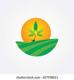 sunrise logo for plantations