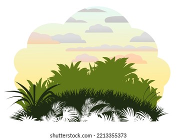 Sunrise morning. Jungle rainforest. Nature landscape silhouette. Dense tropical thickets. Isolated on white background. Vector.