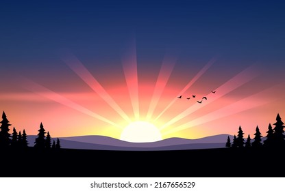 Sunrise nature background with trees and flying birds