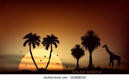 sunrise over the African savanna giraffe and palm trees