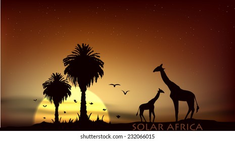 sunrise over the African savanna giraffe and palm trees