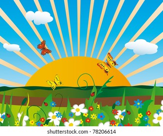 Sunrise over the flowering meadow. Vector illustration
