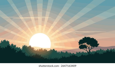 Sunrise over the forested hills with a lone tree