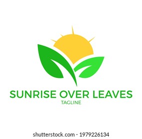 sunrise over leaves vector logo template design