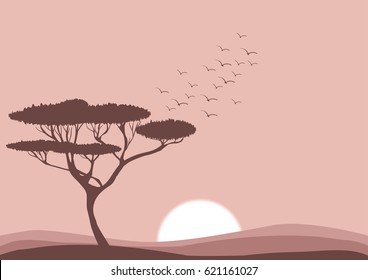 sunrise in savannah vector illustration, flat landscape