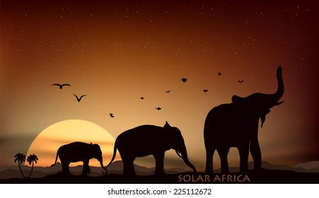 sunrise and sunset over the savannah with three elephants