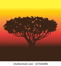 sunrise with tree. vector