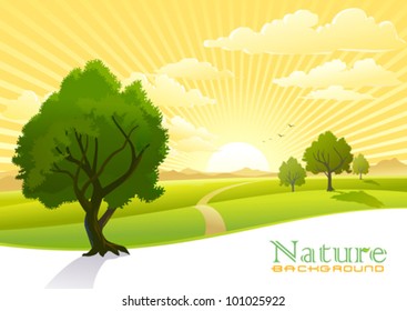 Sunrise and trees with Graphic Wave Background