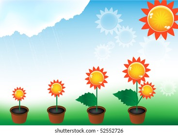 suns in flowerpots