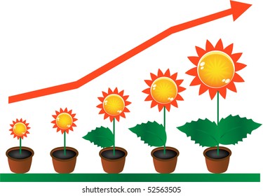 suns in flowerpots