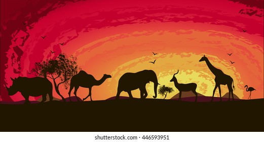 sunset in africa , rhinoceros , camels , flamingos , goat, elephant, camel, vector