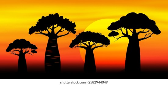 Sunset in Africa, savanna landscape background. Baobab trees silhouette. Nature, exotic plant, African banner vector illustration