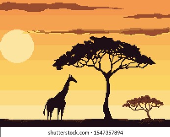 Sunset in Africa with sun and tree, savanna landscape vector illustration. Pixel art. 8 bit. 