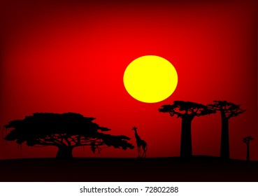 sunset in Africa - vector