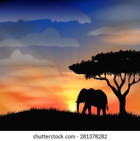 Sunset at africa. Vector illustration