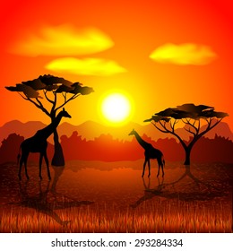 Sunset in african savannah photo realistic vector background