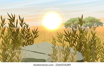 Sunset in the African savannah. Realistic vector landscape