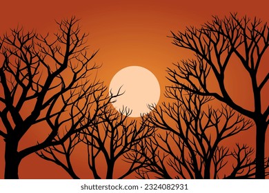 Fondo de sol con árboles desnudos en la silueta