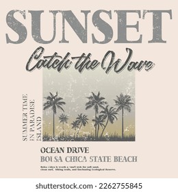 sunset beach. catch the wave slogan. surf vector. paradise