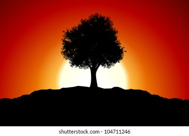 Sunset with black tree silhouette