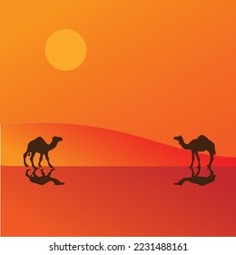 sunset with camel on desert