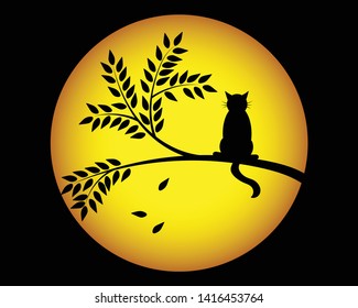 sunset and cat on tree
