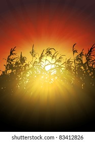 sunset in cornfield vector background