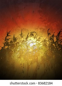sunset in cornfield vector background